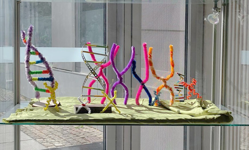 DNA Modelle